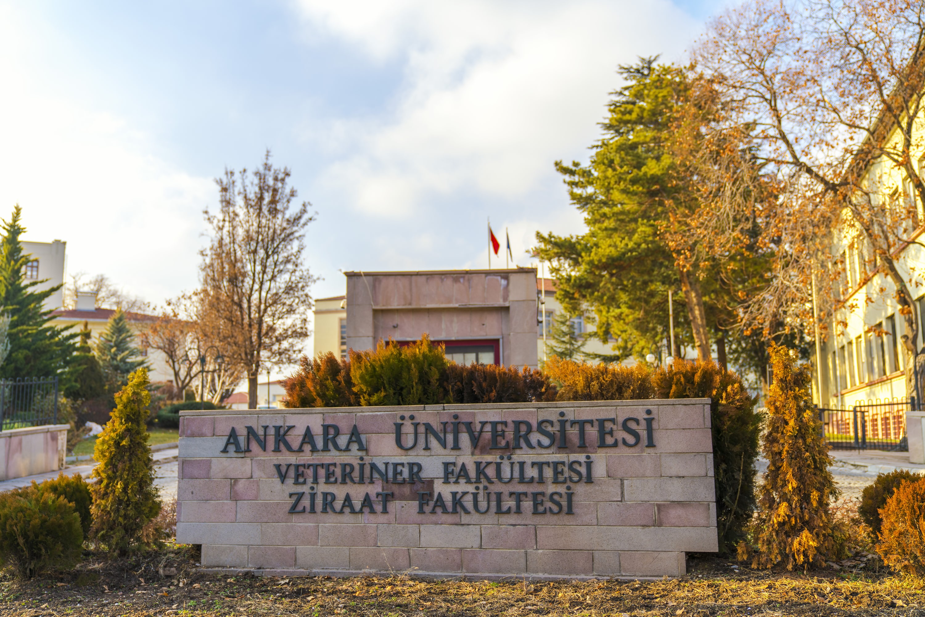 Ankara University